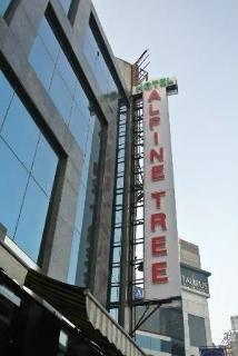 Alpine Tree Hotel 3*