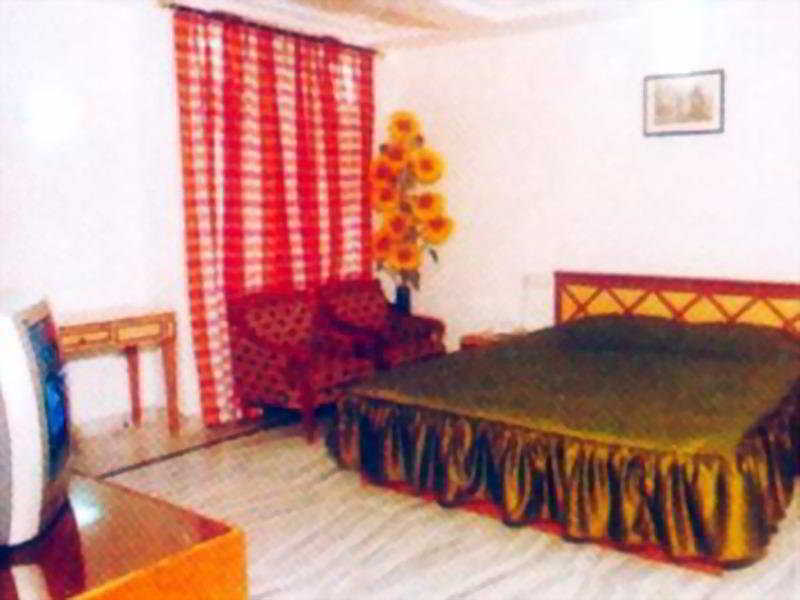 Metro Hotel Delhi (National Capital Territory of India)