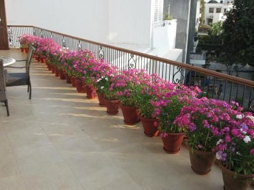 Ahuja Residency Golf Links