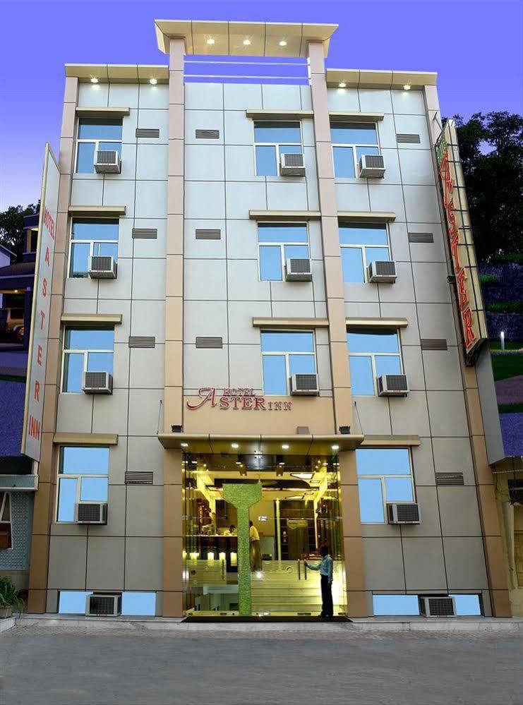 Aster New Hotel Delhi (National Capital Territory of India)