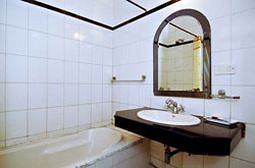 Hotel Megha Sheraton 2*