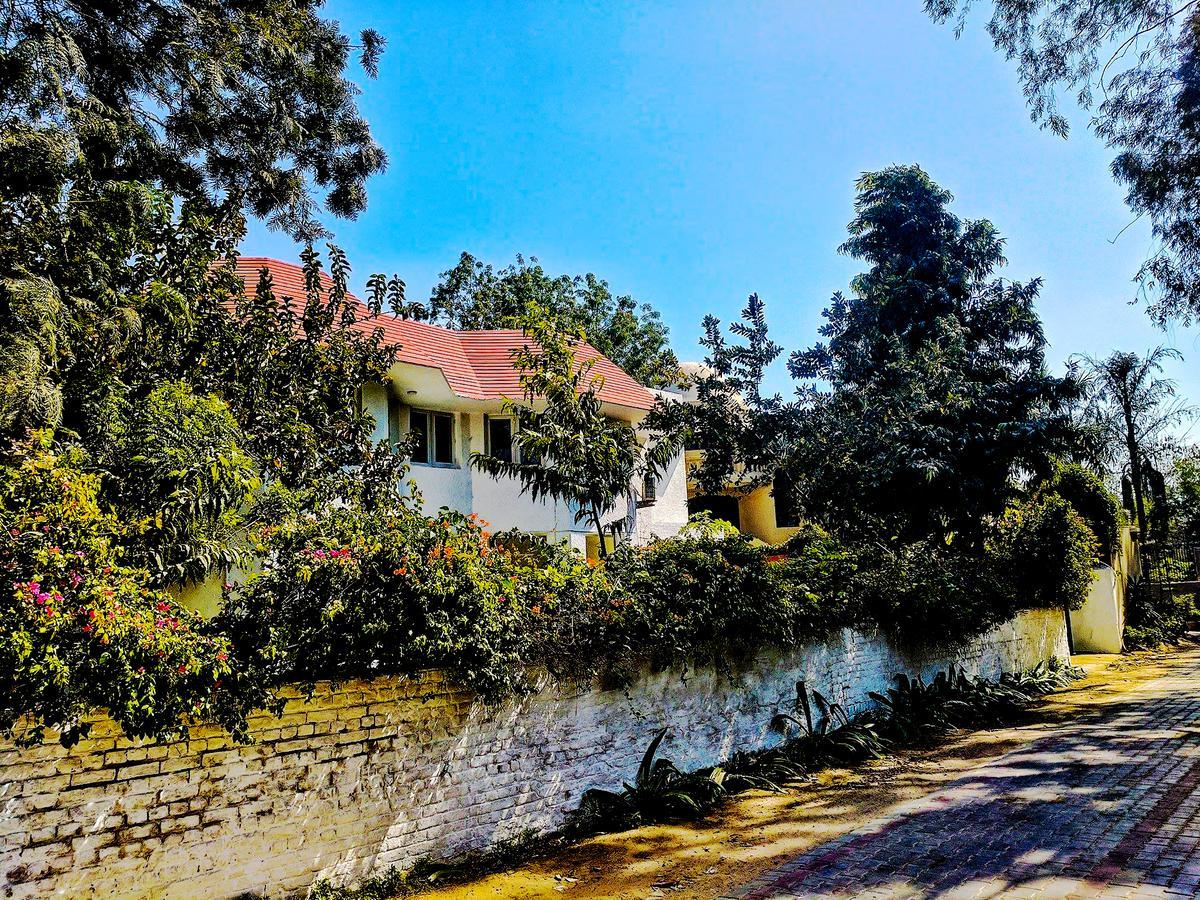 Albergue Roots