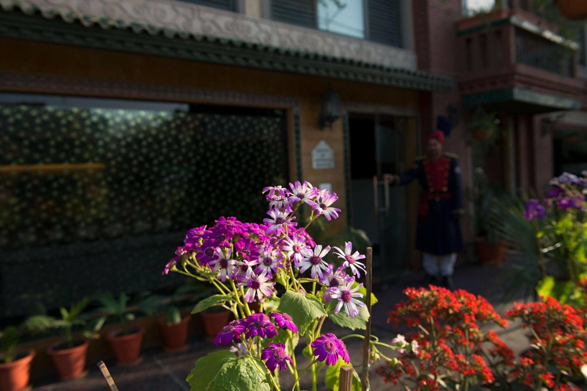 Hotel Anila Naraina Vihar