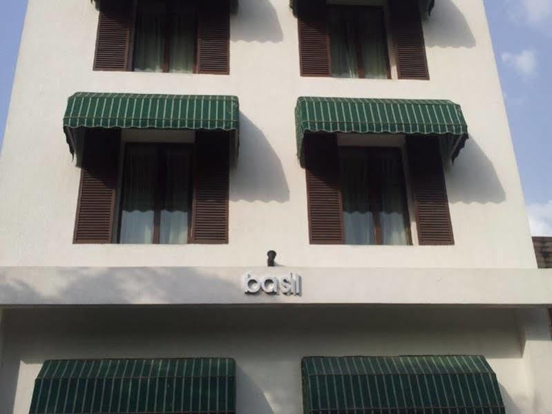 Siesta Basil - Okhla