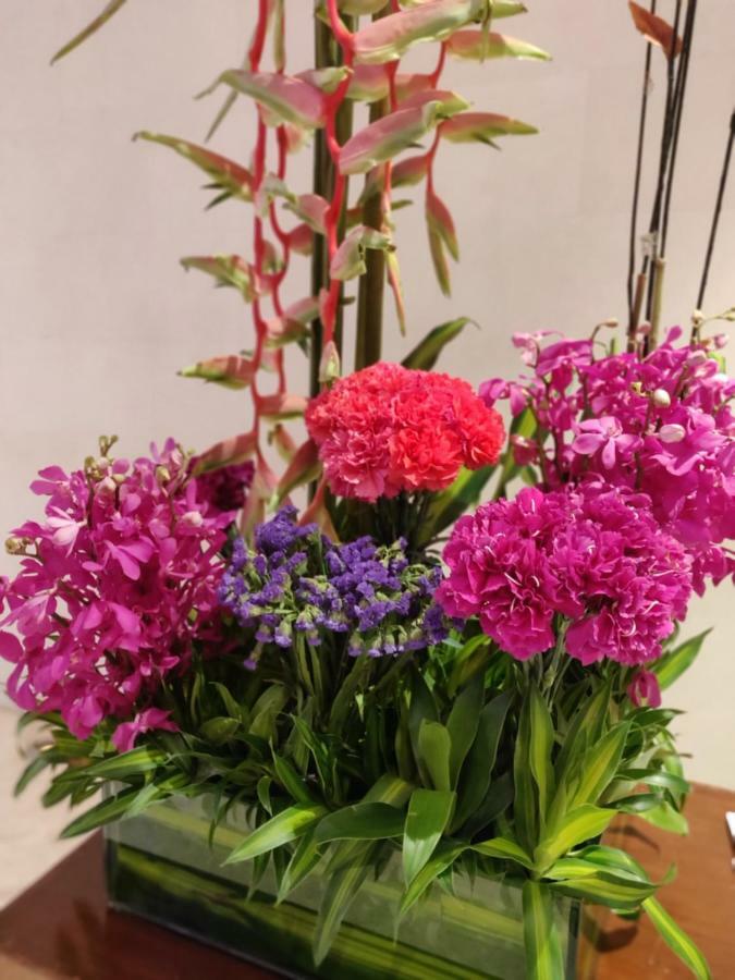 Pearl Premium Homes, Family Bnb Guest-house Guest house New Delhi