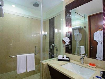 S.k Premium Park 4* Nova Deli