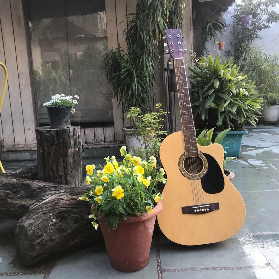 The Lazy Patio Homestay Hospedagem domiciliar Nova Deli
