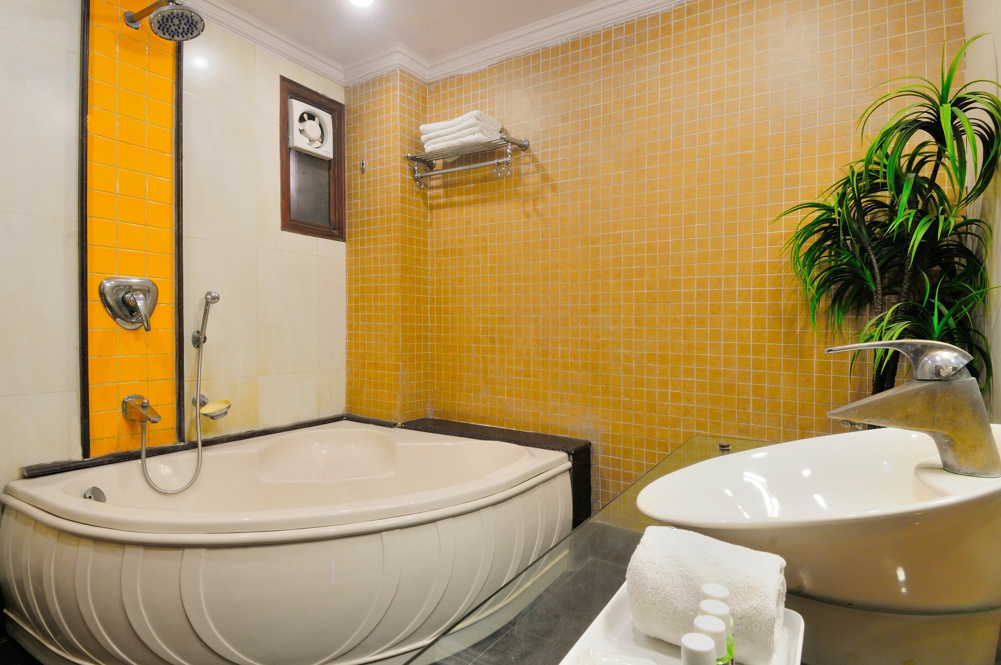 Hotel Oyo 10848 Geeson New Delhi