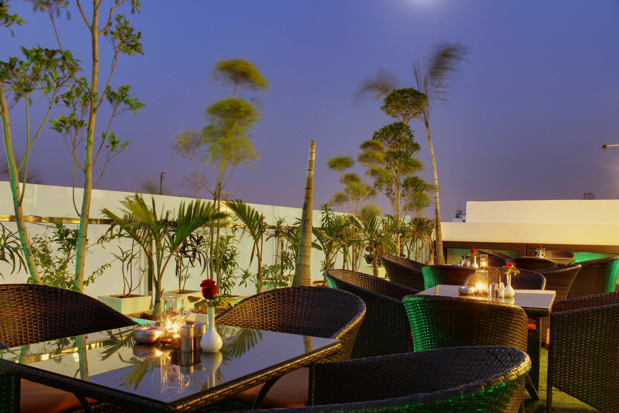 Taj Princess - Boutique Delhi (National Capital Territory of India)