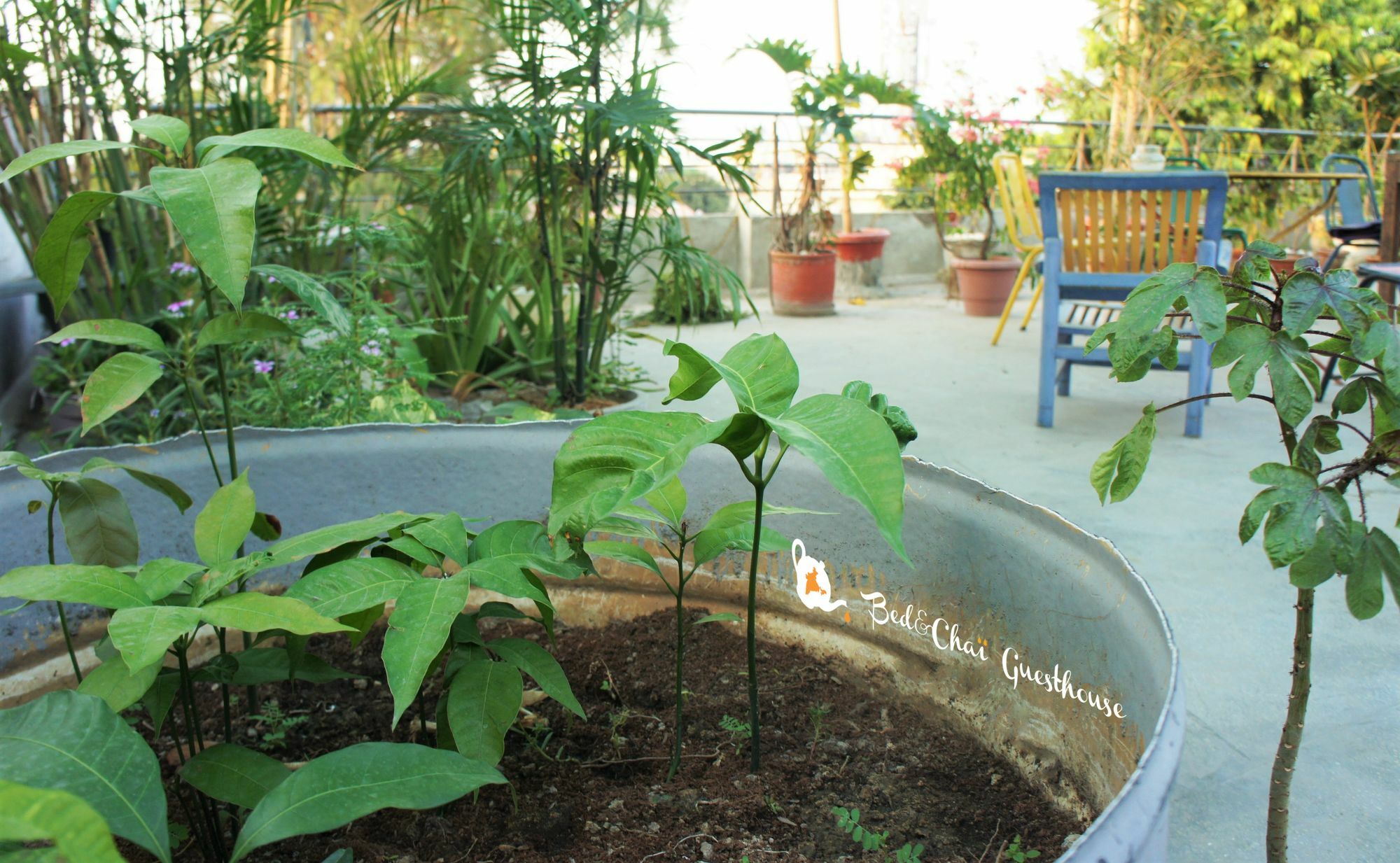 Bed & Chai Guest house 2*