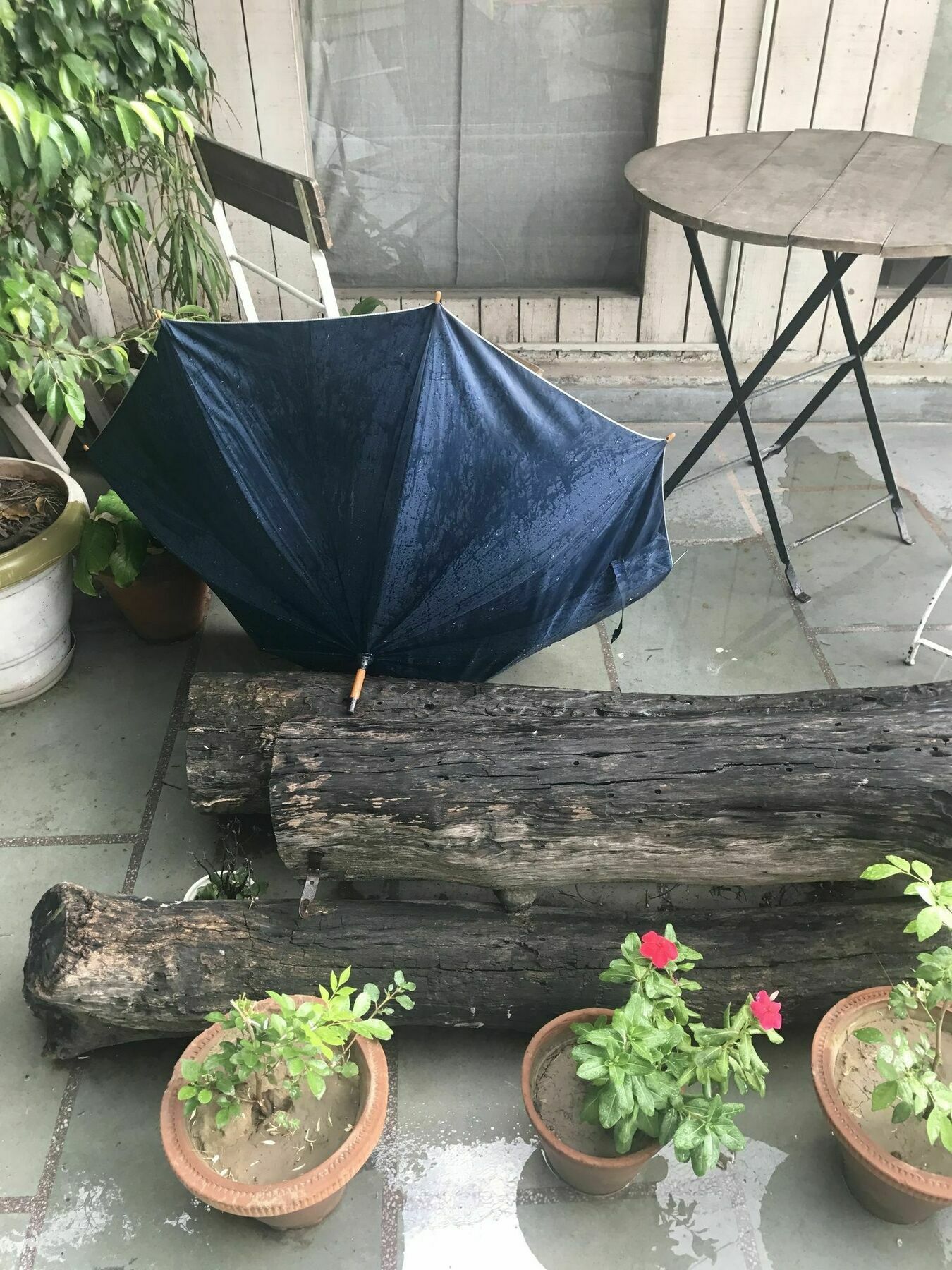 Hospedagem domiciliar The Lazy Patio Homestay Nova Deli