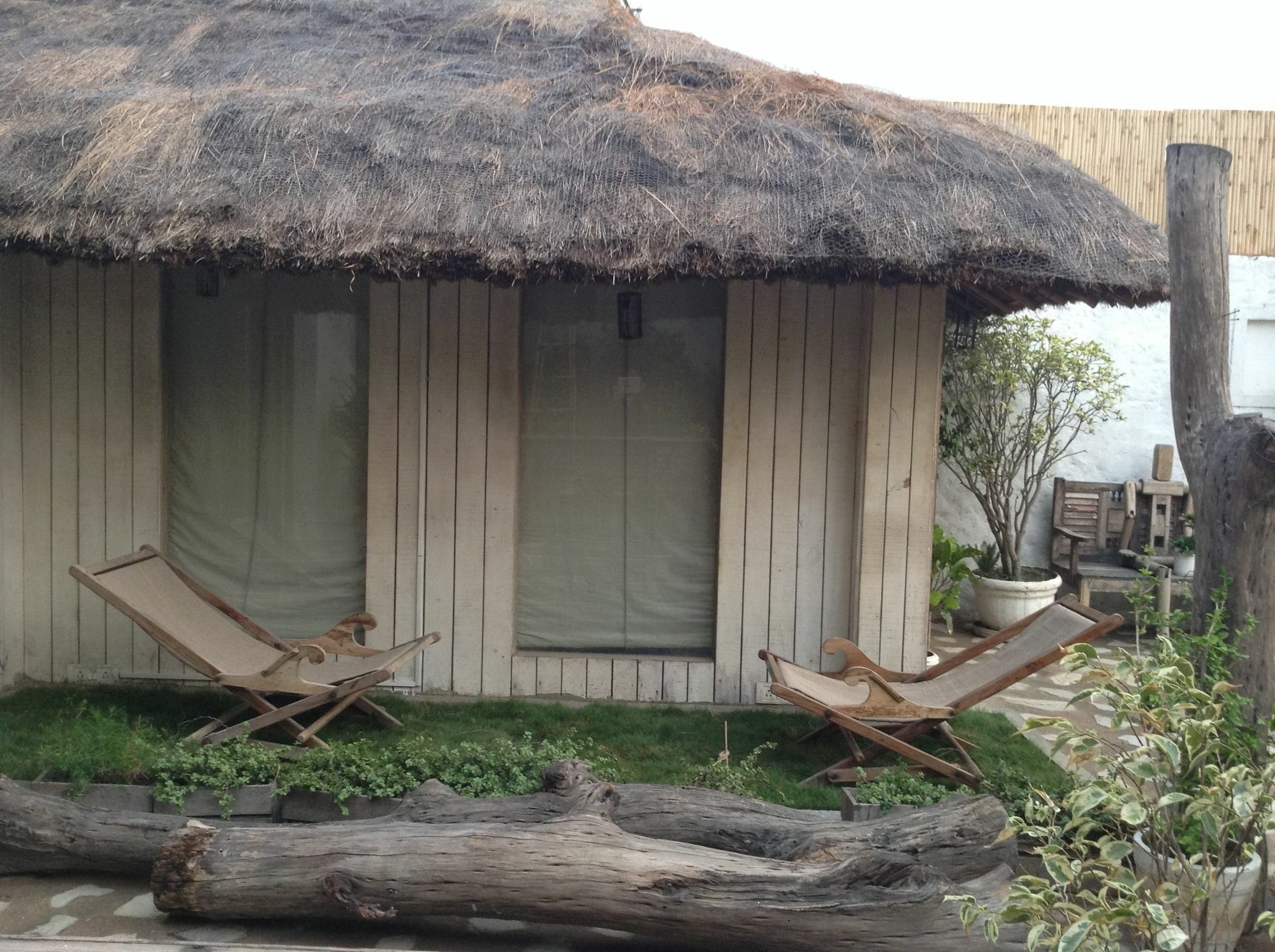 The Lazy Patio Homestay Hospedagem domiciliar Nova Deli