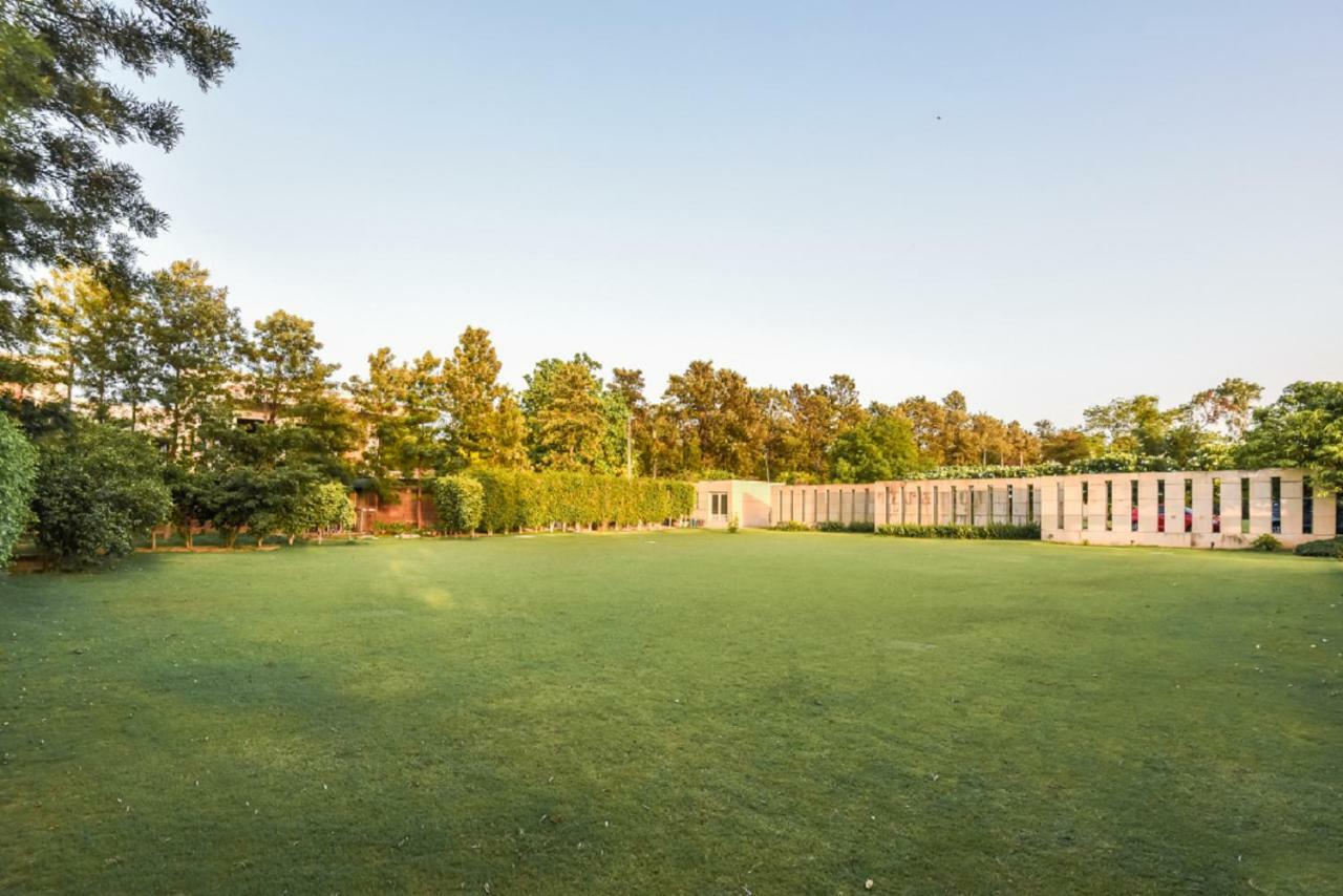 Hostie - The Mango Buddha Luxury Farm *