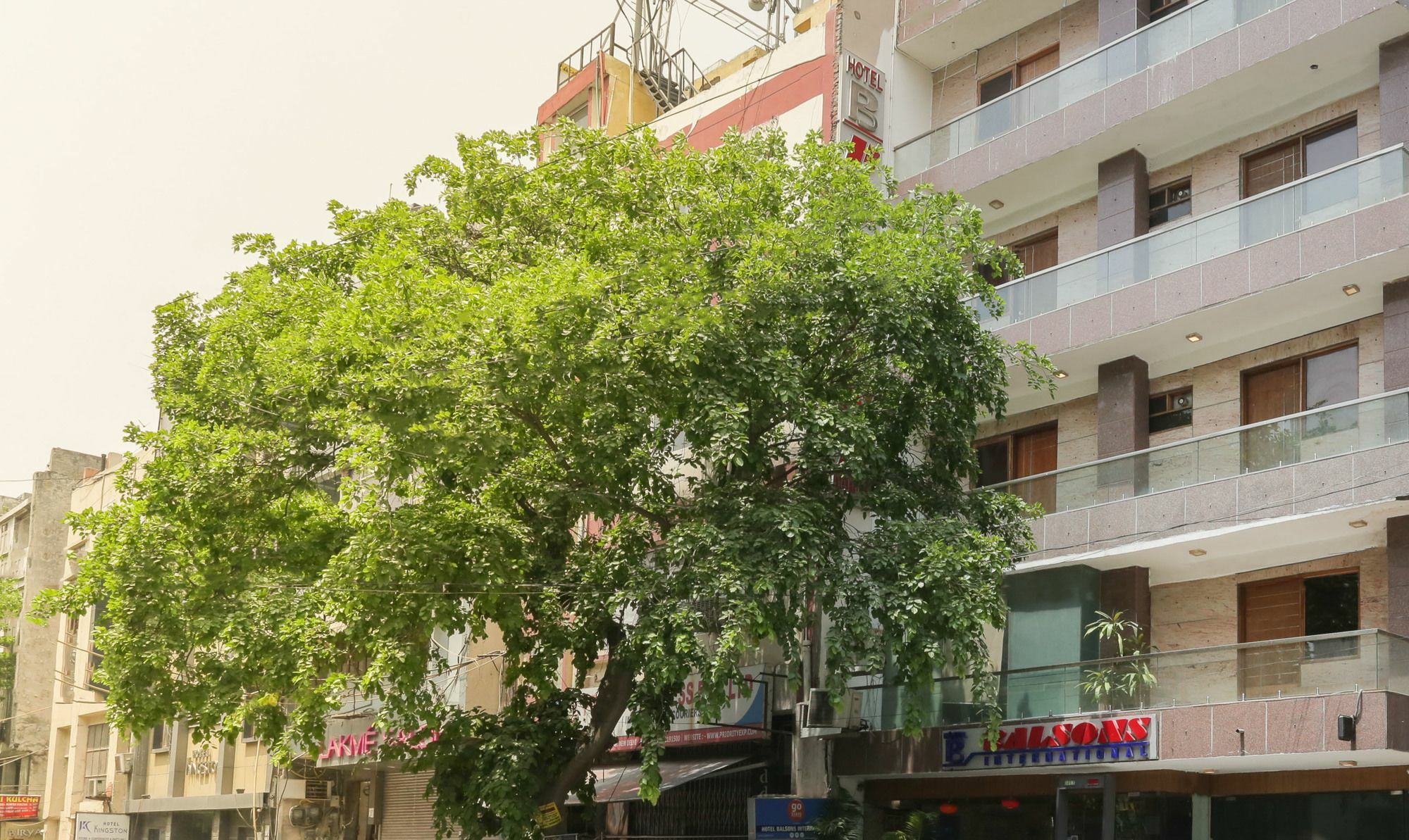 Hotel Treebo Balsons International New Delhi