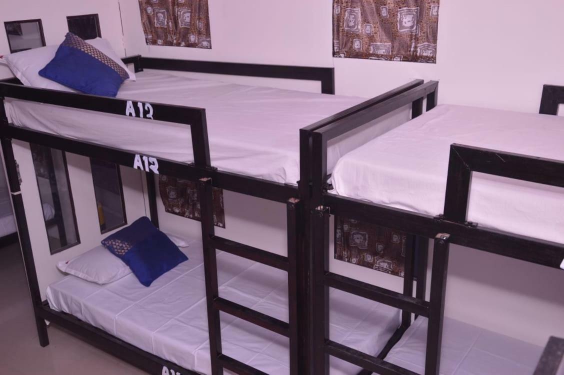Albergue Citybackpacker *