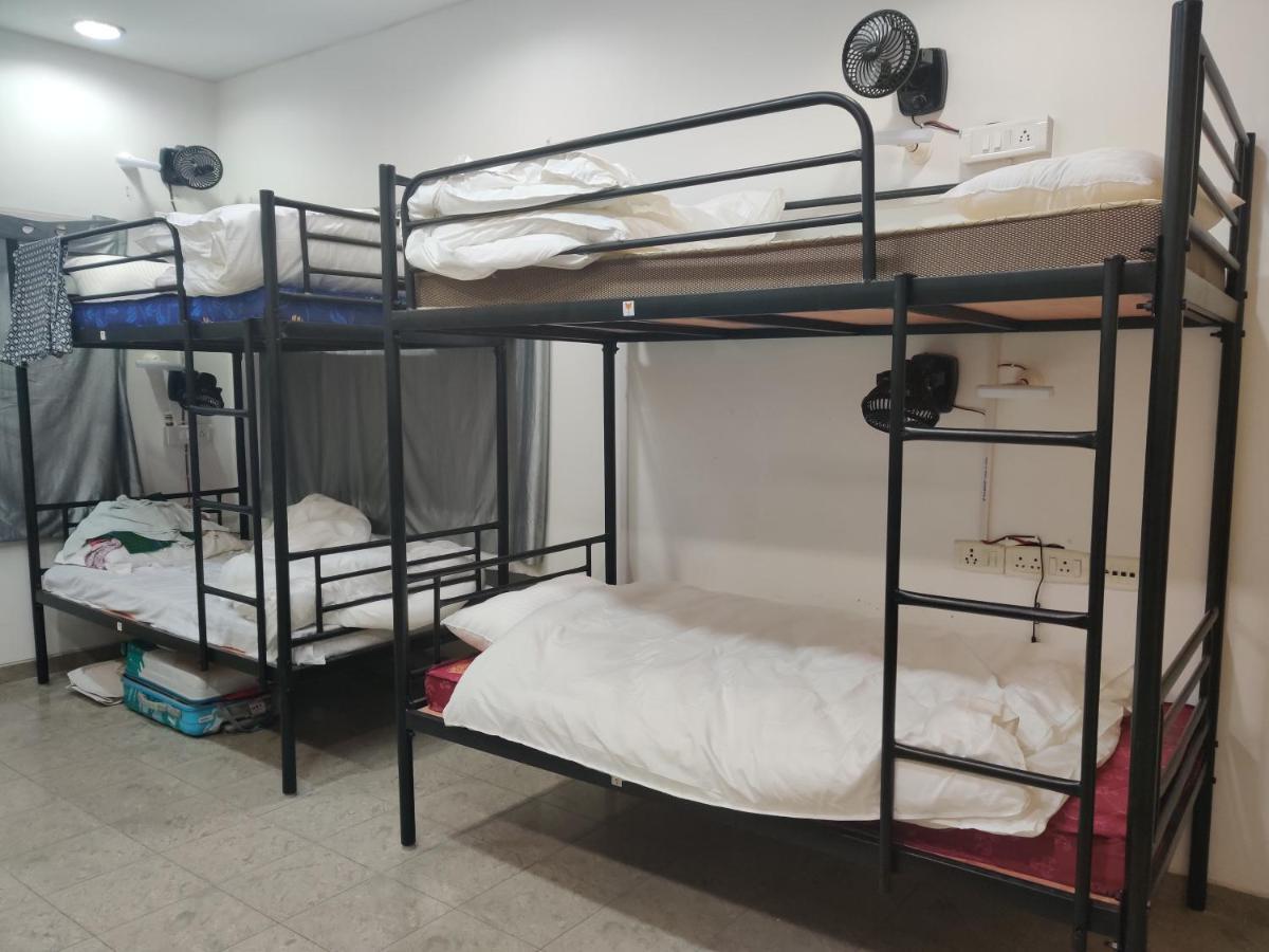A Sleepy Fox Hostel