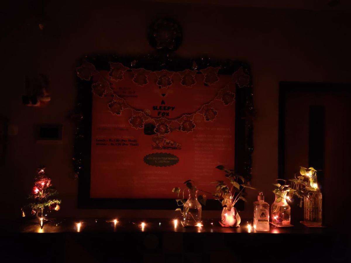 A Sleepy Fox Hostel *