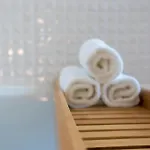 Hotel Urban Lion - Igi Delhi