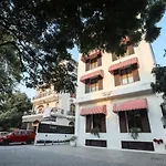 Siesta Basil - Okhla