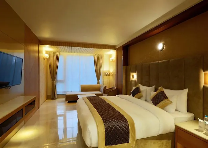 Hotel Luxury Stay Near Igi Airport With Free Airport Transsfer
