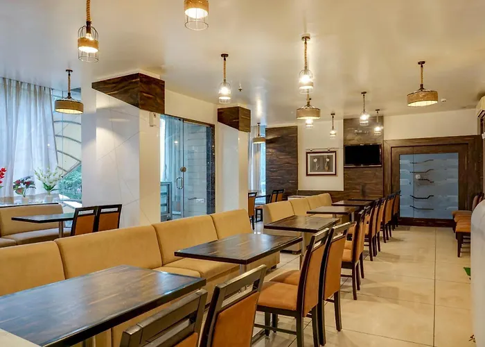 Hotel Tela Suite Inn Near Igi Airport Delhi