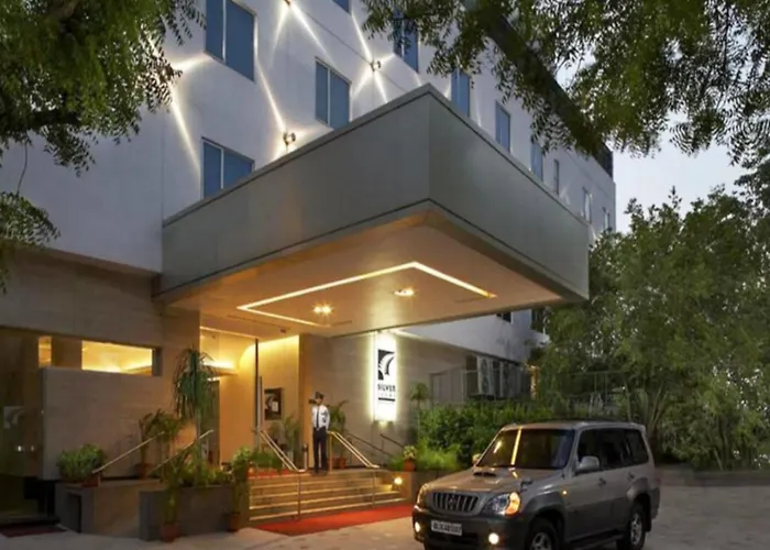 Silver Ferns A Boutique Hotel