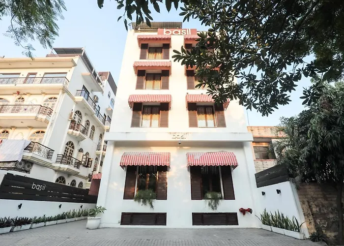 Siesta Basil - Okhla