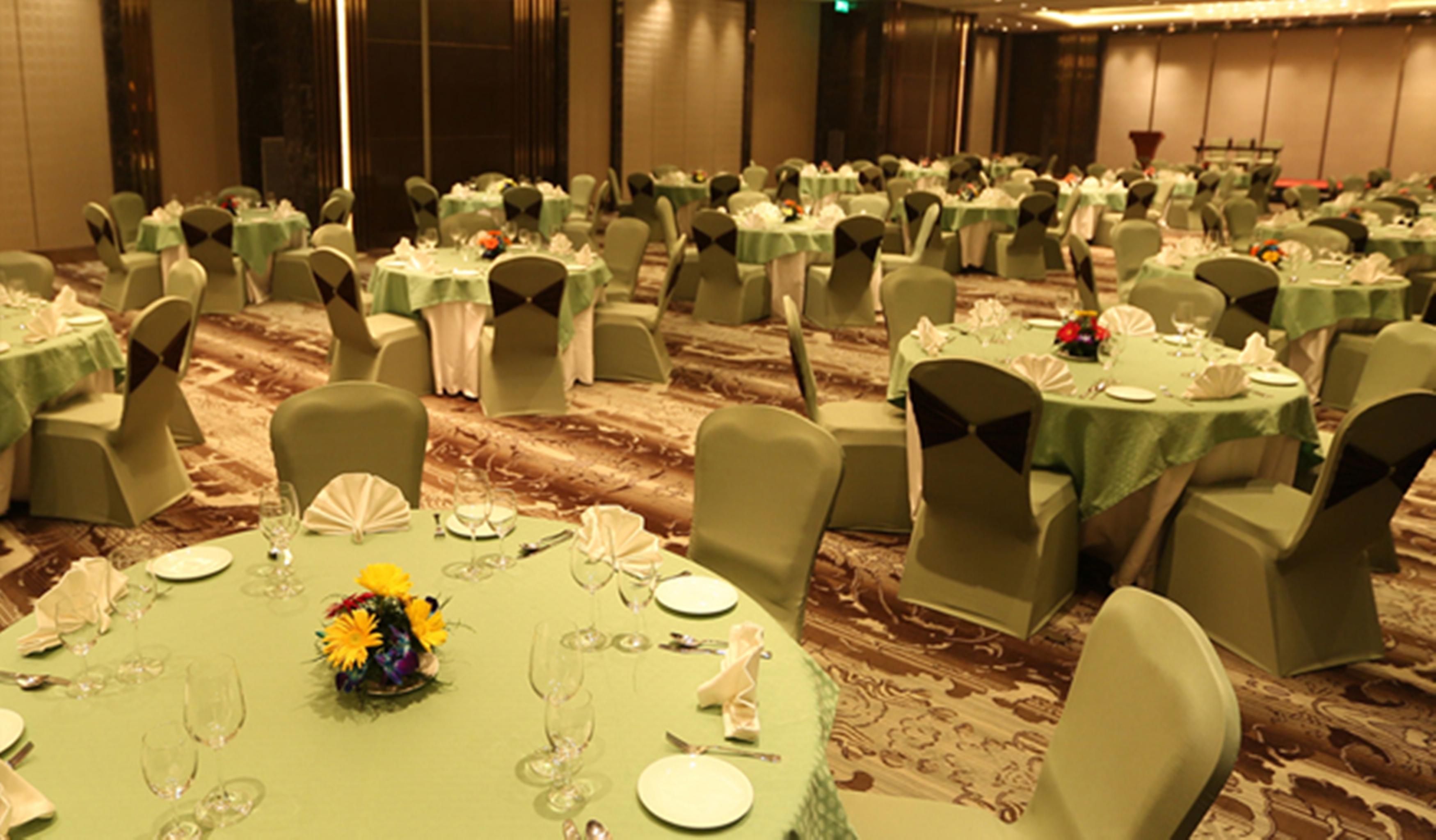 Hotel Pride Plaza Hotel, Aerocity