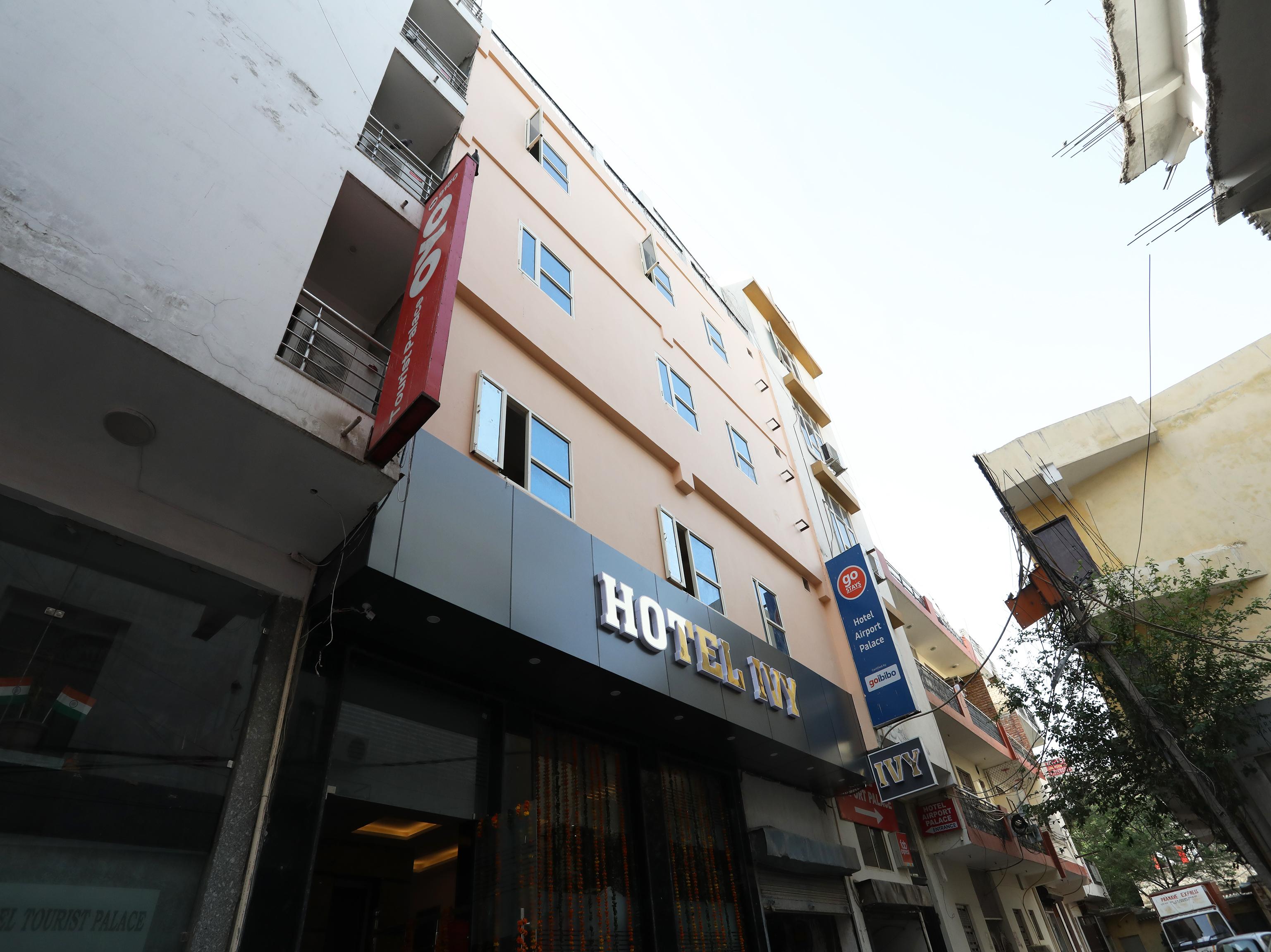 Hotel Ivy 3*