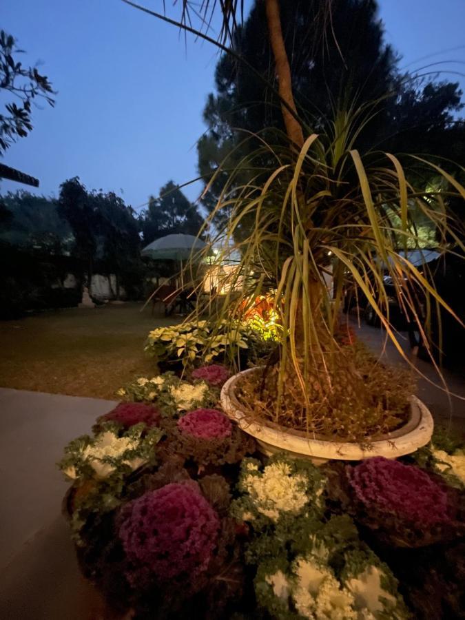 Bed & Breakfast The Stay Inn New Delhi 3*