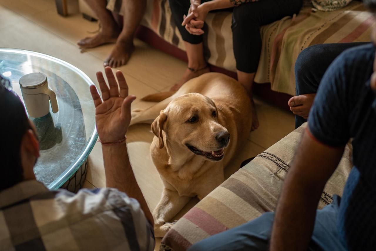 Hostel Amigosindia New Delhi