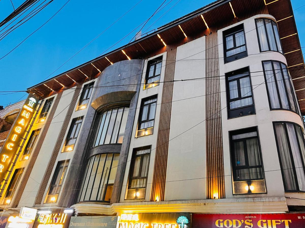 Magic Tree Karol Bagh Metro Station New 3*