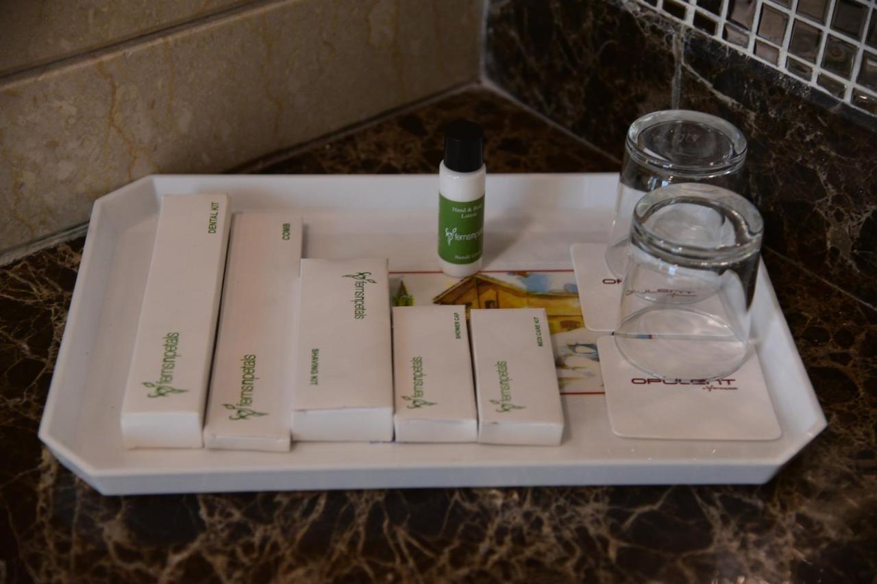 Opulent By Udman Chhattarpur 4*