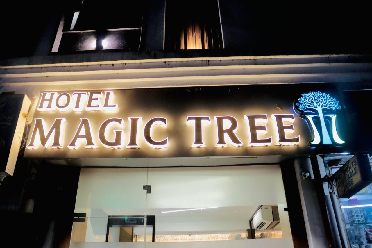 Magic Tree Karol Bagh Metro Station New