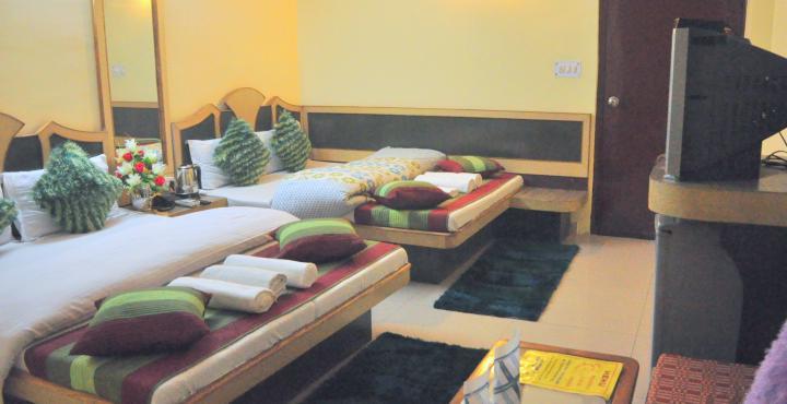 Ganga Hotel New Delhi