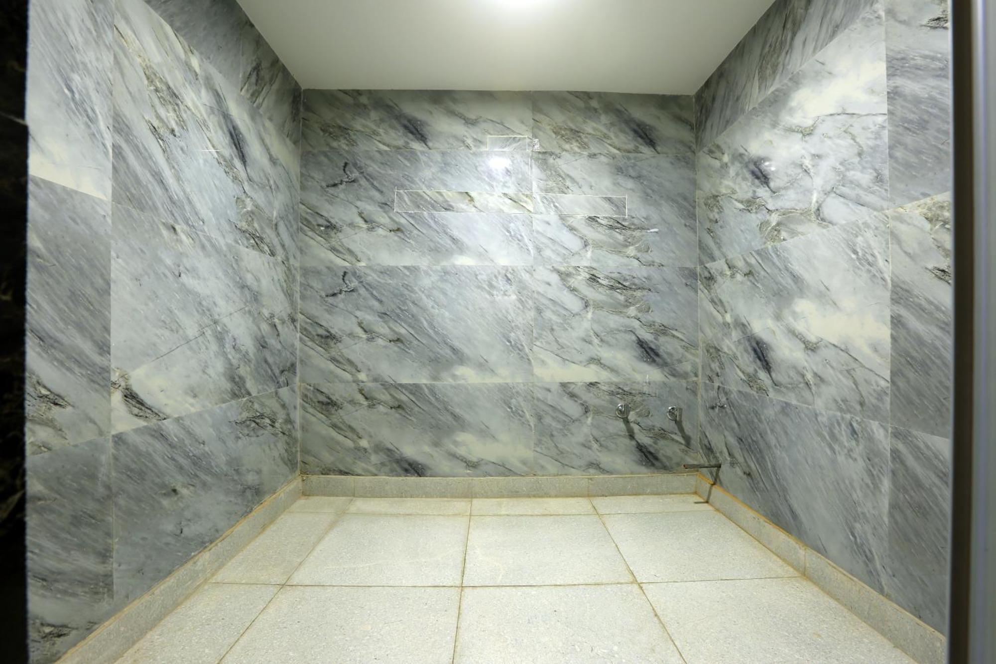 Hotel Prithvi Palace Near Delhi International Airport 3*