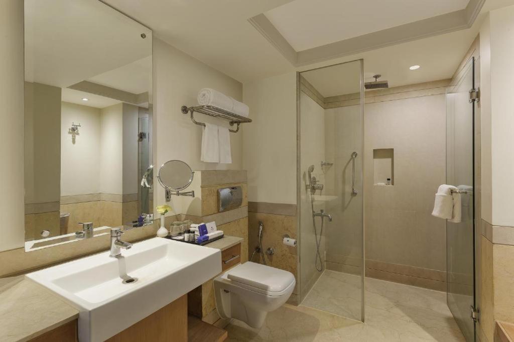 Hotel Royal Infinity Near Delhi Airport New Delhi