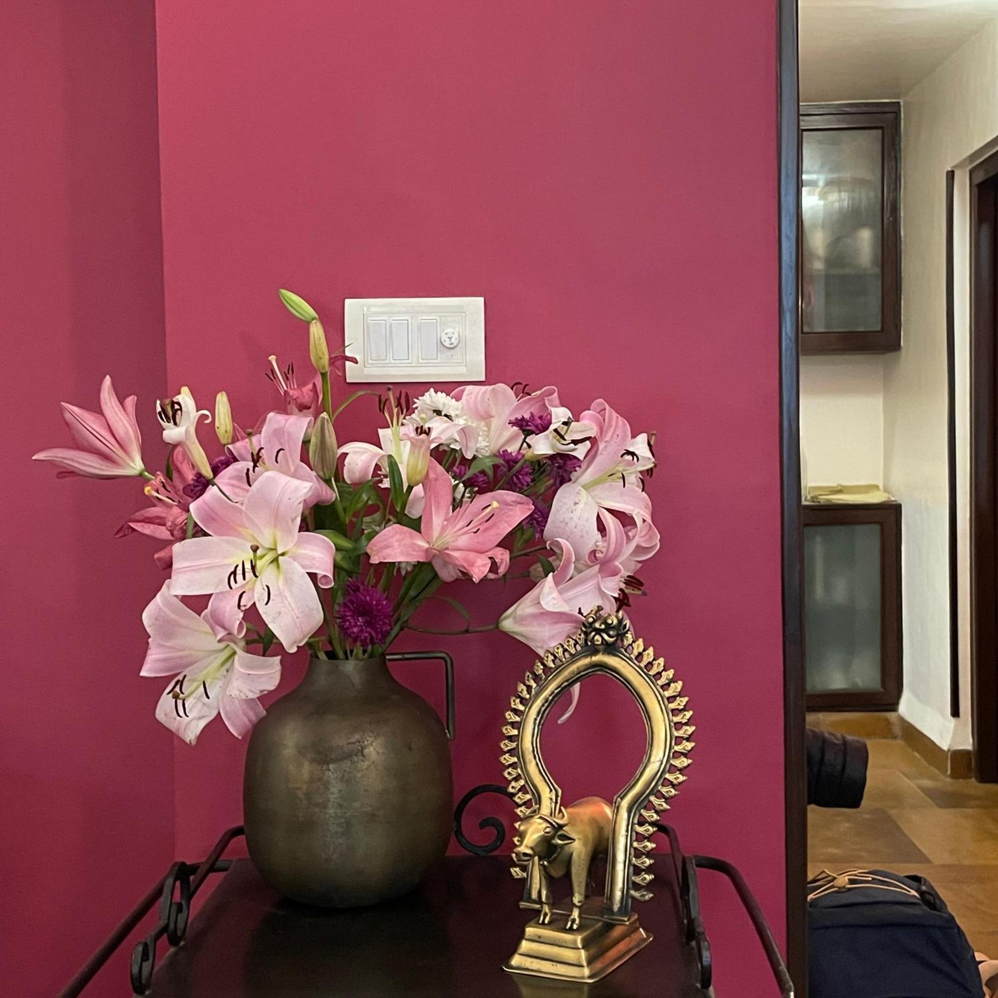 Zaza Bed & Breakfast New Delhi