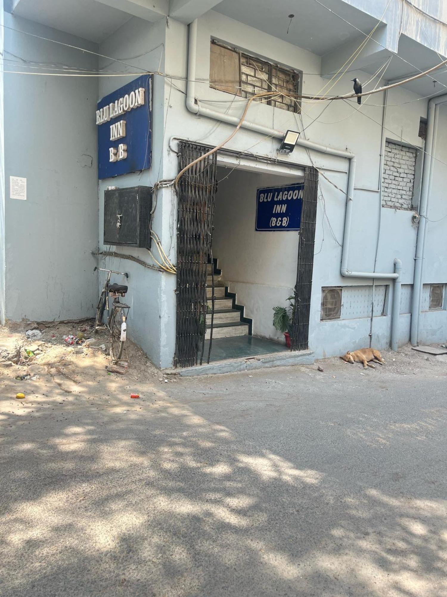 Lagoon - Malviya Nagar New Delhi