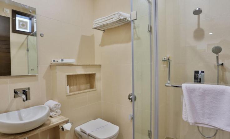D'presidente Hotel Delhi (National Capital Territory of India)
