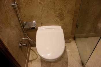 Hotel Oyo Peera Garhi New Delhi