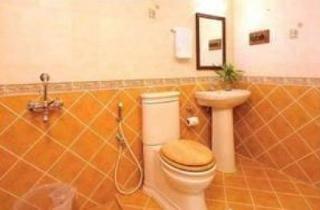 Hotel Ivory Palace 3*