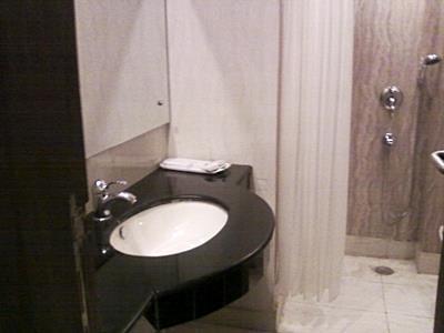 Silver Stone - Karol Bagh New Hotel