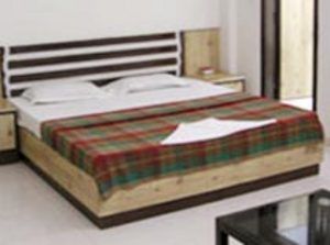 Capital O 2382 White House Continental Hotel Delhi (National Capital Territory of India)