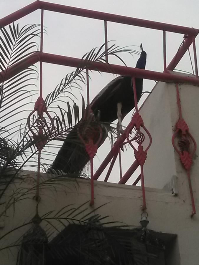 Bed & Breakfast Jaypore House *