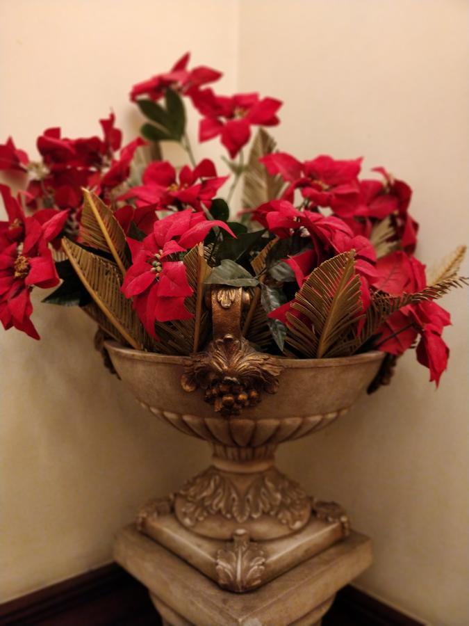 Pearl Premium Homes, Family Bnb Guest-house Guest house New Delhi