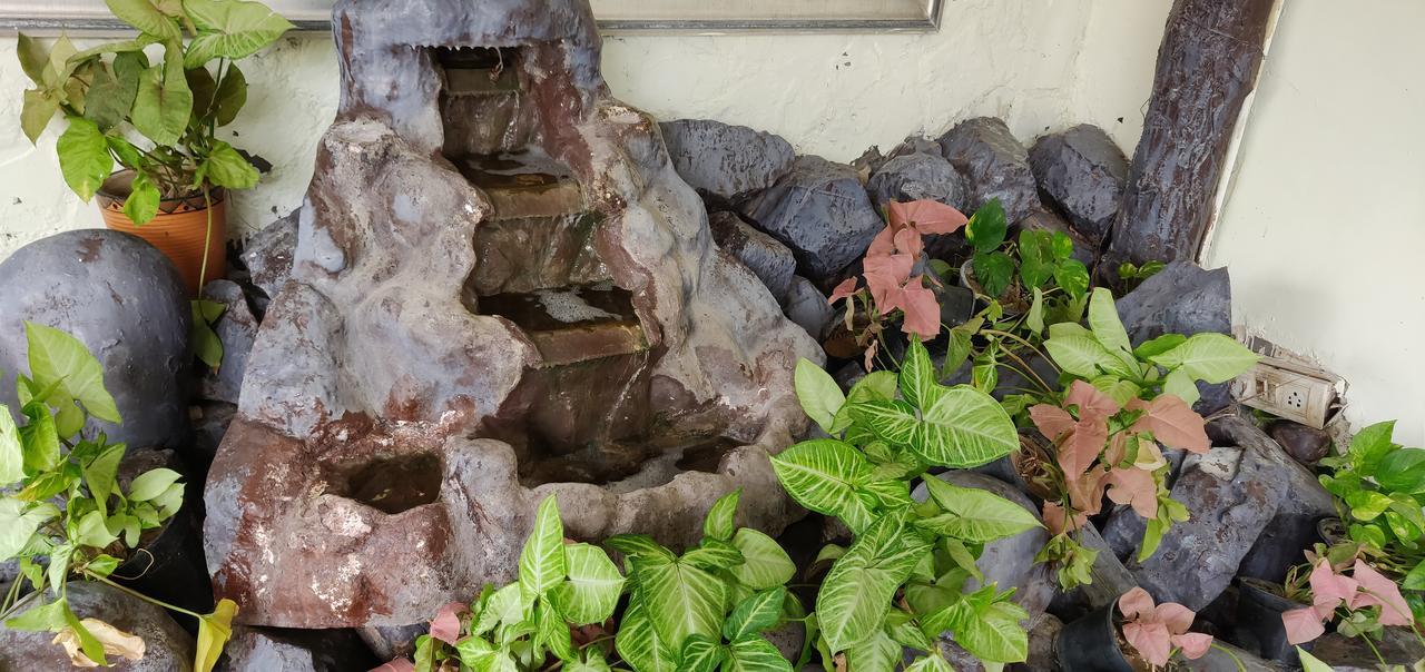 Pearl Premium Homes, Family Bnb Guest-house