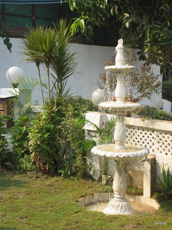Petite New Delhi