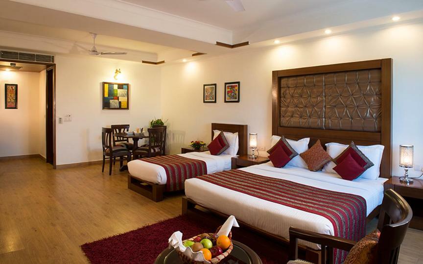Anila New Delhi