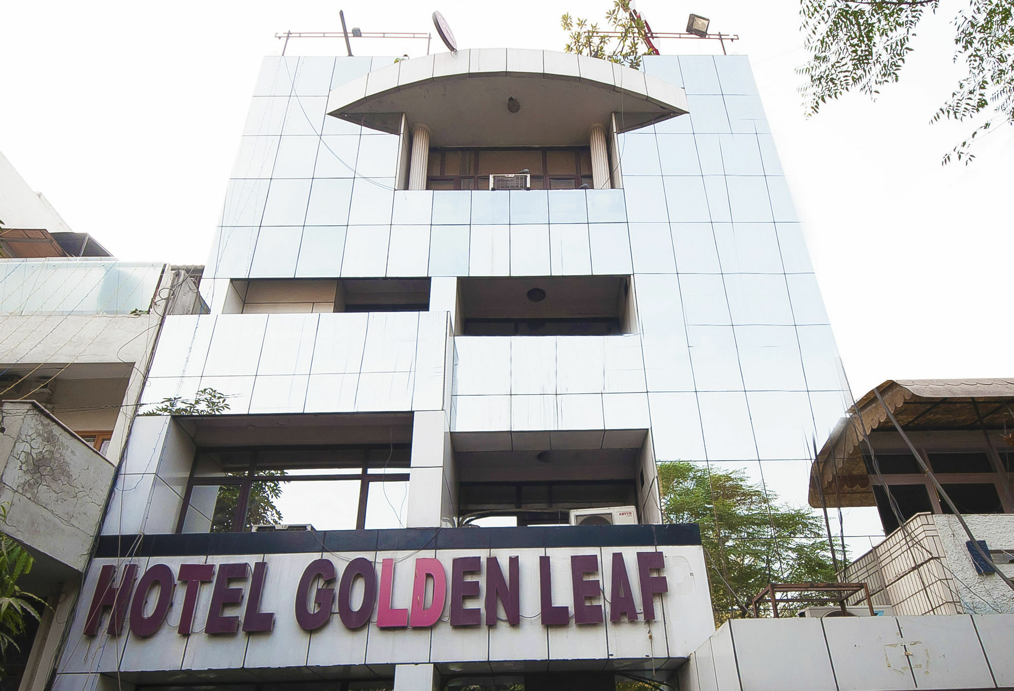 Golden Leaf